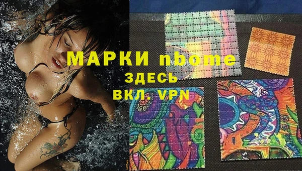 сатива Абинск