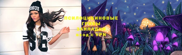 сатива Абинск