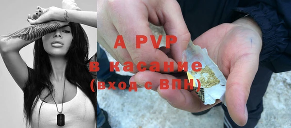 сатива Абинск