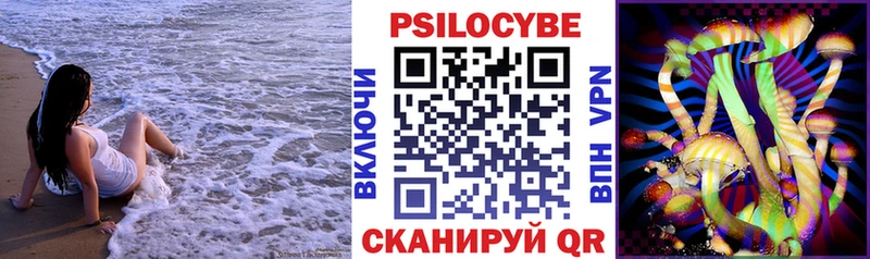купить Кимовск Галлюциногенные грибы Cubensis