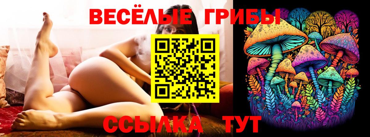 Псилоцибиновые грибы Psilocybine cubensis Кимовск