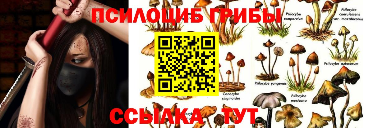 Галлюциногенные грибы Psilocybe  Галлюциногенные грибы мухоморы  Вход с VPN  Кимовск 
