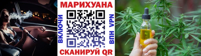Бошки марихуана сатива Кимовск